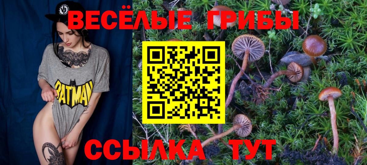 ЭКСТАЗИ  КОКАИН  МДМА  Орск  Вход с VPN  Мефедрон   ГАШИШ 