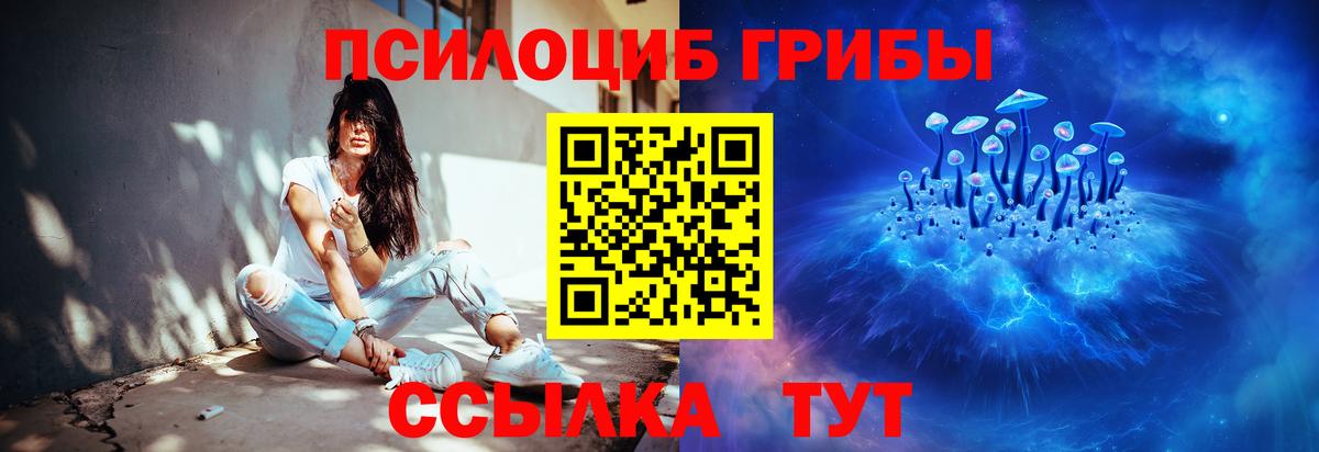 Галлюциногенные грибы Cubensis  Вход с VPN  Орск  Галлюциногенные грибы Psilocybe 